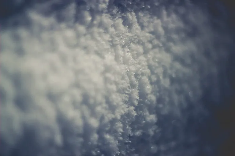 Rough ice accretion on a chest freezer wall