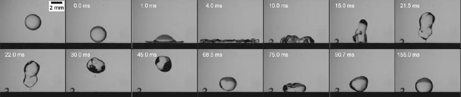 Time series of a highspeed recording of a droplet impacting a hydrophobic surface